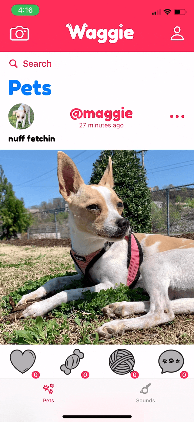 Waggie profile and feed preview